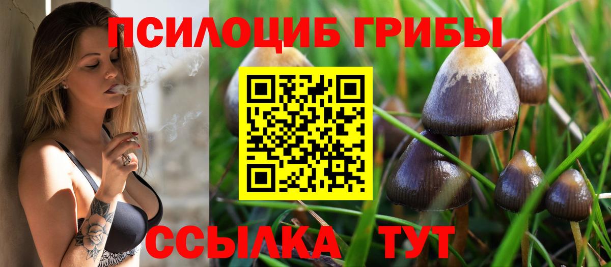 Псилоцибиновые грибы прущие грибы  Вход с VPN  наркошоп  Томск 